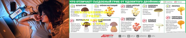 ешки Аркадак